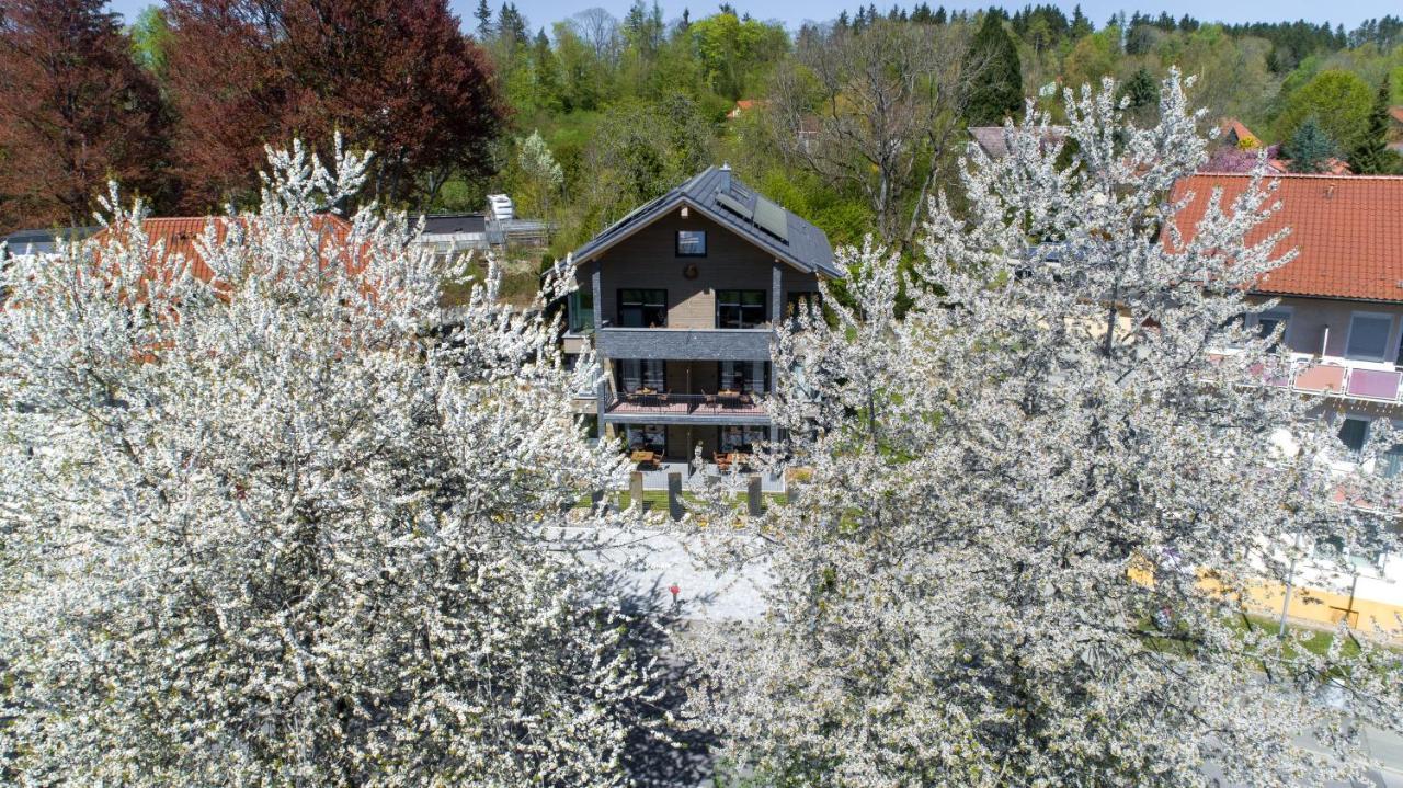 Invita Natur-Chalets Penthouse - Familienurlaub Im Schwarzwald - 240Qm Bad Dürrheim Eksteriør billede